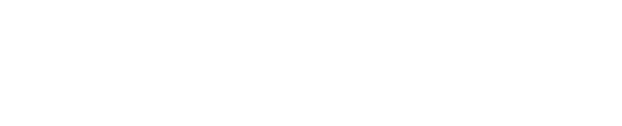 Don Hanson Foundation Inc